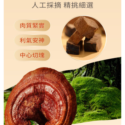 靈芝石斛西洋參茶 6g*20包 西洋參茶 石斛花茶 靈芝 滋陰潤肺 抗疲勞 三角茶包 養生茶包 石斛 西洋參