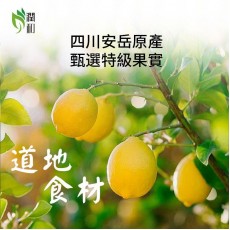 潤和花茶YEUNWO TEA-檸檬乾 30g 檸檬片 水果茶 檸檬茶 維他命C補充 生津止渴 開胃提神 美白養膚 即食檸檬