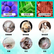ELAIMEI - 寵物洗耳液  耳蟎油 寵物耳仔清潔液 滴耳液 貓咪寵物耳垢潔耳液  狗狗耳朵清潔液 平行進口 寵物通用