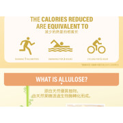 天然阿洛酮糖【400克】0糖0脂0卡天然代糖 無糖生酮替代糖