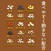 Hakubaku - 日本營養健康十五穀米 [300g]